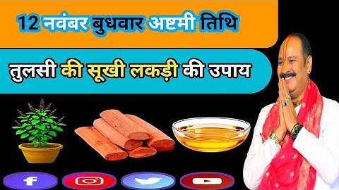 12 नवंबर बुधवार अष्टमी तिथि को तुलसी की सूखी लकड़ी वाला उपाय जरुर करें || Pradeep Ji Mishra #upay