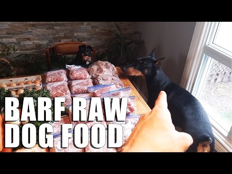 RAW Dog Food Diet, BARF for Dogs | VLOG | Biologically Appropriate