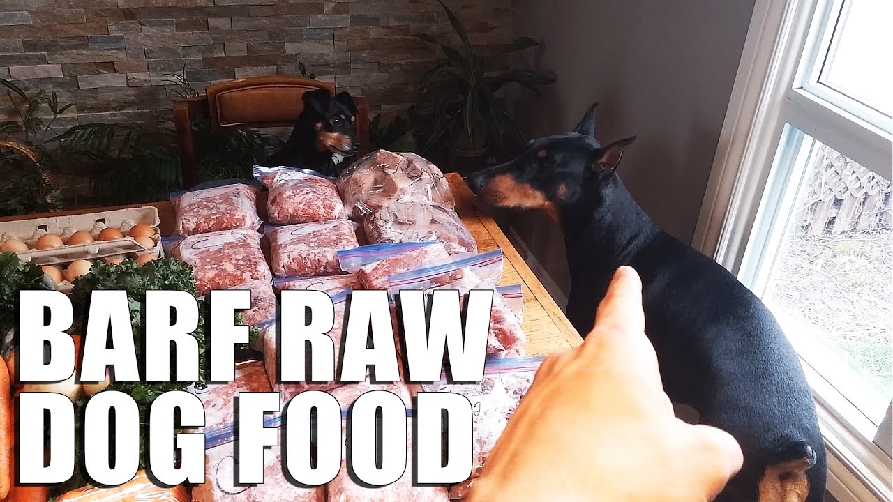 RAW Dog Food Diet, BARF for Dogs VLOG Biologically Appropriate