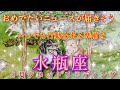 🌈タロット✨水瓶座♒２月【新しく始まっていく✨何時でも行動できる準備を】タロットカード＆オラクルカードリーディング🥳