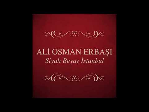 Ali Osman Erbaşı - Hangimiz Sevmedik (Enstrümantal)