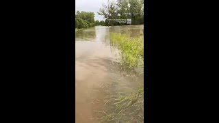 Tiny Squeaks Heard 
In Flooded Town; What 
The Sheriff Found