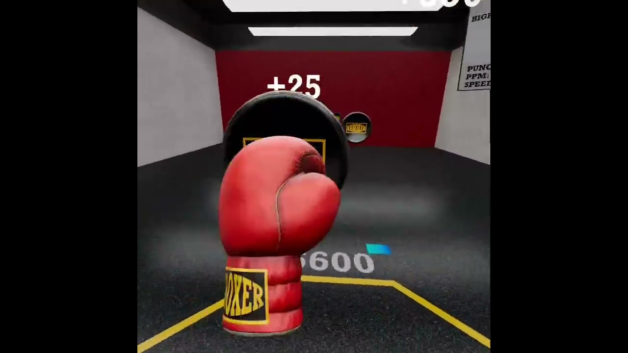 META QUEST BOXING CHALLENGE!