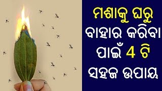 ମଶକ ଘର ବହର କରବ ପଇ 4 ଟ ସହଜ ଉପୟ Mosquito Control Home Remedies