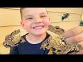 Caleb CATCHES FROGS in the BACKYARD! BUG Hunt with MOMMY and HIDE and SEE with FROG!