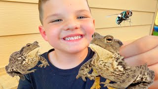 Caleb CATCHES FROGS in the BACKYARD! BUG Hunt with MOMMY and HIDE and SEE with FROG!