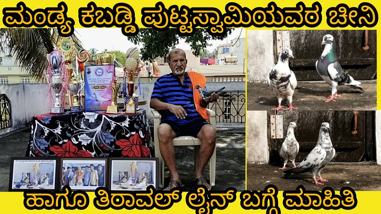 ಮಂಡ್ಯದ ಹಳೆಯ ಶೋಕ್ದಾರ್ ಕಬಡ್ಡಿ ಪುಟ್ಟಸ್ವಾಮಿಯವರ 60 ವರ್ಷದ ಹಳೆಯ ಜಾತಿಯ ಹಕ್ಕಿಗಳ ಬಗ್ಗೆ ಮಾಹಿತಿ.