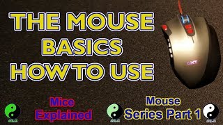 The Basics - Mice Explained