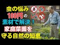 【農薬は不要】庭の害虫は100円の素材で消える!台所にあるもので作る、元プロが伝える科学で実証された無農薬スプレーの極意