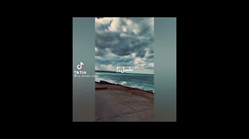 الي يقولك احلم اتفائل دا بكره احلي 
