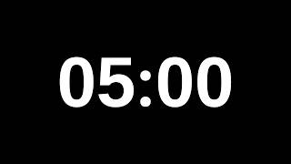 5 Minute Timer - 300 Second Countdown
