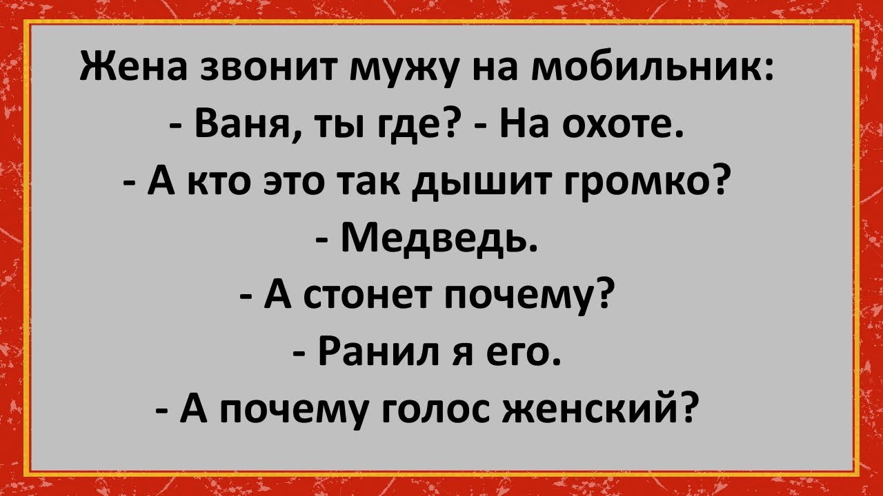 Неделю без мужа. Анекдоты категории б. Анекдот ты охотник или кто.