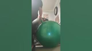 @bronsonmcfarland1178's Boingy Bouncy Fun