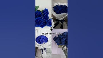 قالَ رَبِّ إِنِّي دَعَوْتُ قَوْمِي لَيْلاً وَ نَهاراً (سورة :نوح)