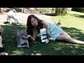 Kangaroo Selfie! ПРИКОЛЬНЫЕ КАДРЫ или СЕЛФИ с КЕНГУРУ Australia