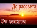 Типо дальнобойщики🔴 перегон, 3 укос люцерны