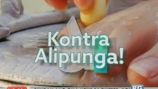 Good News: Kontra Alipunga!