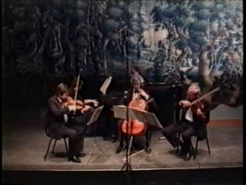 Brahms Quartet in c minor, Op. 60 - Tel-Aviv Piano Quartet