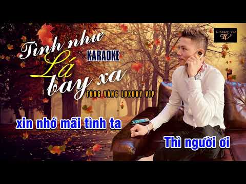 TÌNH NHƯ LÁ BAY XA Karaoke [Tone Gm] - Tùng Vàng Luxury VIP