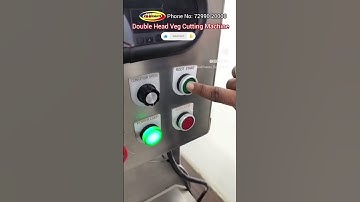 Commercial Potato Slicer Machine | Multipurpose Automatic Vegetable Cutting Machine