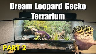 How to Create The Perfect Leopard Gecko Bioactive Terrarium | Part 2