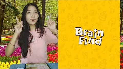 Brain Find Level 104 There are too many rats here Walkthrough