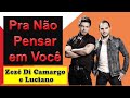 💞 Zezé Di Camargo e Luciano - Pra Não Pensar em Você (LETRA) | Aybritt Lyrics #shorts