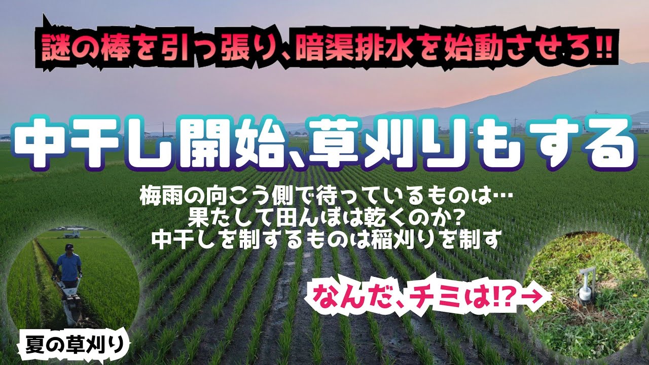 暗渠官、今日取り引きできるかた 月刊 現代農業2021年12月号 フレコンバッグから直接投入 超効率的