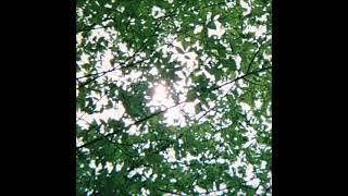 《 1 Hour 》 rei brown - Bubble