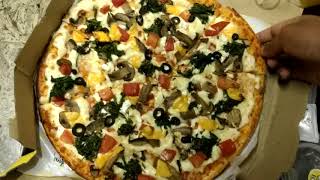 FRESHMENU PIZZA REVIEW-2