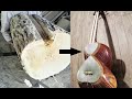From a Tree Log to a Music Instrument: Making Persian Instrument Tar from a Tree Log