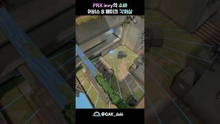 PRX invy의 소바 어비스 B 페이크 각화살