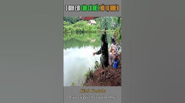 Câu Cá Diếc | Câu Đài | Câu Cá Giải Trí Và Ẩm Thực #shorts