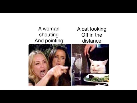 confused-cat-meme-compilation