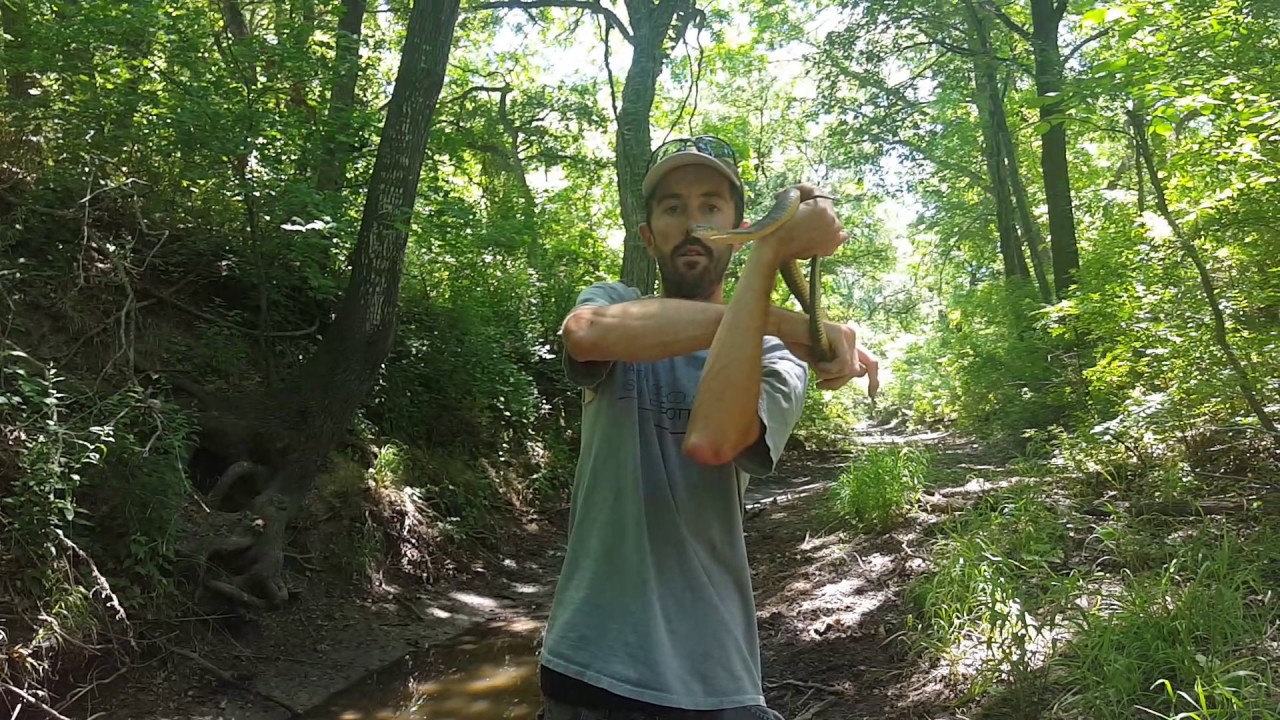 hunting simulator pc Mike Doran catching snake 3rd snake of the day