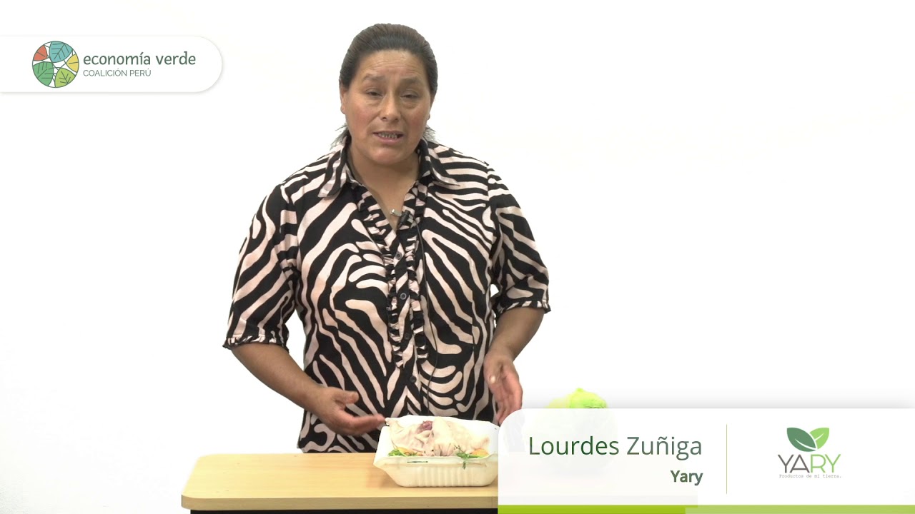 Lourdes Zuñiga de Yari YouTube