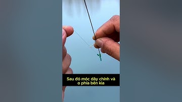 cách câu câu cá khi nước chảy  #fishing