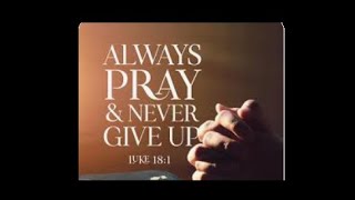 30th Sunday in Ordinary Time - October 26,  2025 - St. Mary's Church