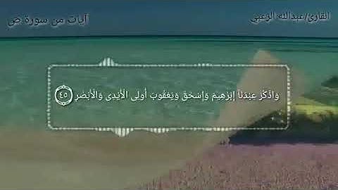 آيات من سورة ص بصوت عبدالله الزعبي