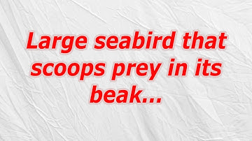 Large seabird that scoops prey in its beak - CodyCross Crossword Answer