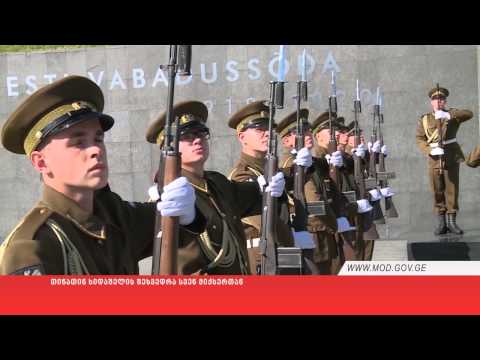 თინათინ ხიდაშელის შეხვედრა სვენ მიქსერთან