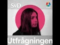 Nooshi Dadgostar om makten, bilden av V och vägen till regeringen