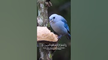 إن الله هو الرزاق ذو القوة المتين  #القارئ_صلاح_بوخاطر
