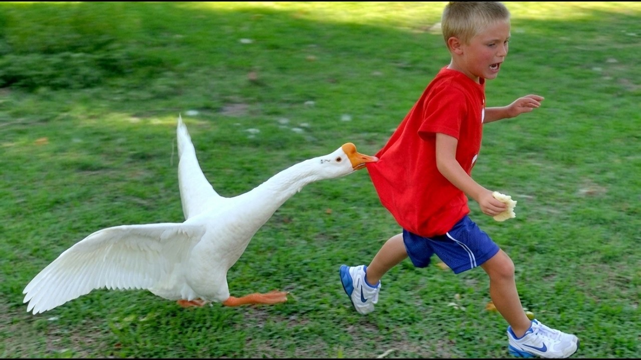 When Your Baby’s Visits the Zoo for the First Time 😂 Baby and Animals