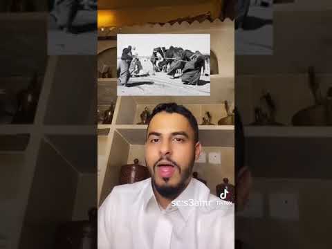 قصة طير شلوى 