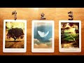 THE SIGN YOU ASKED FOR! 🌳🕊🏞 | Pick a Card Tarot Reading