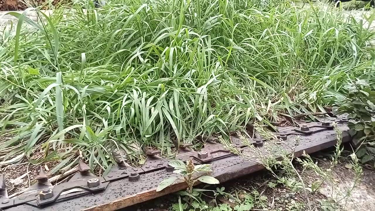 Кошение травы конец сезона - YouTube