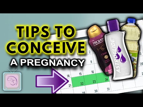 TTC? Sex timing, sex frequency and lubricants: Fertility Expert Tips!