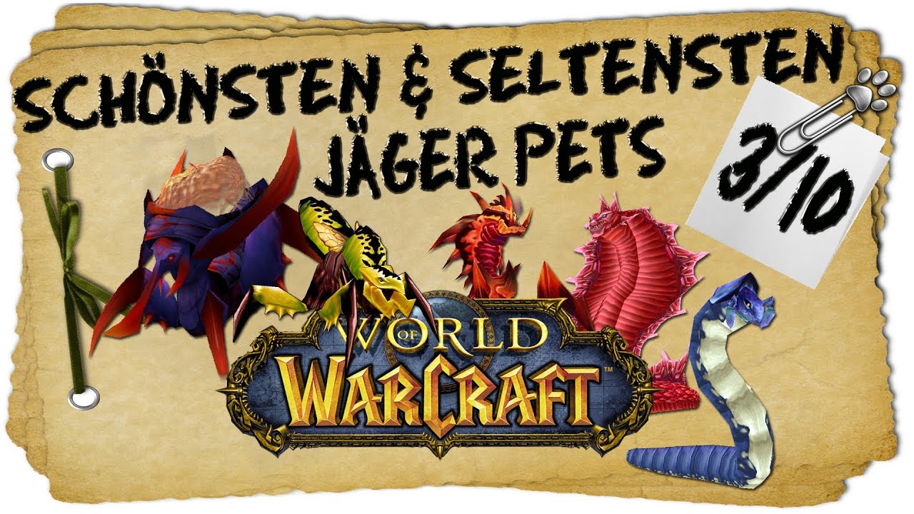 Schonsten Seltensten Jager Pets 3 10 Wurmer Schlangen Uvm