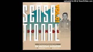 Sensational Sounds Vol.1 Mixed & Compiled By Da Musiqal Assassin